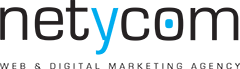 Netycom web design